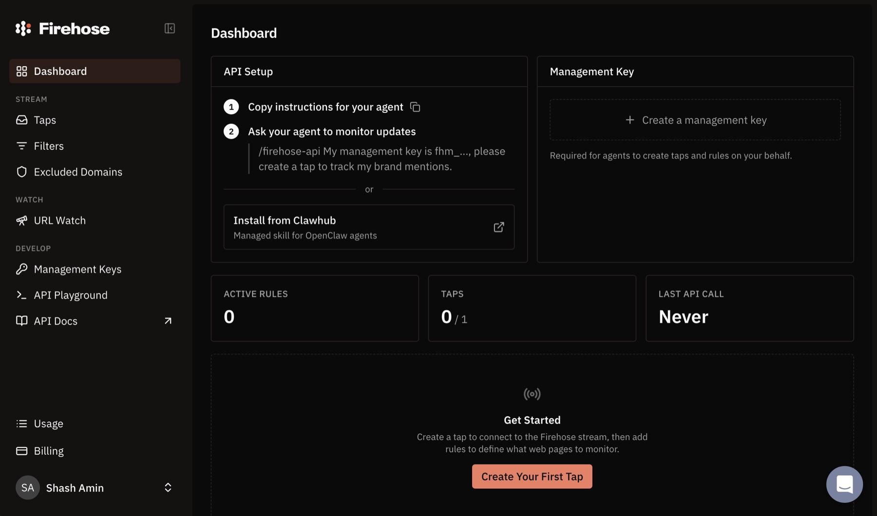 The first Firehose dashboard showing API and AI agent setup.